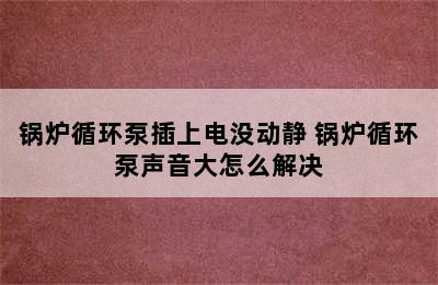 锅炉循环泵插上电没动静 锅炉循环泵声音大怎么解决